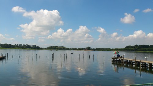 キレイなボウズ in 多々良沼 Katz 村 キレイなボウズ in 多々良沼 Katz 村