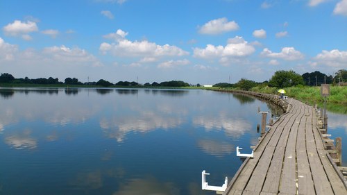 キレイなボウズ in 多々良沼 Katz 村 キレイなボウズ in 多々良沼 Katz 村
