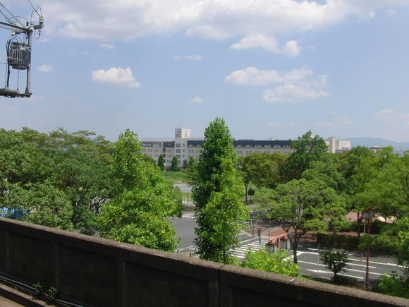 f0111128_12492596.jpg