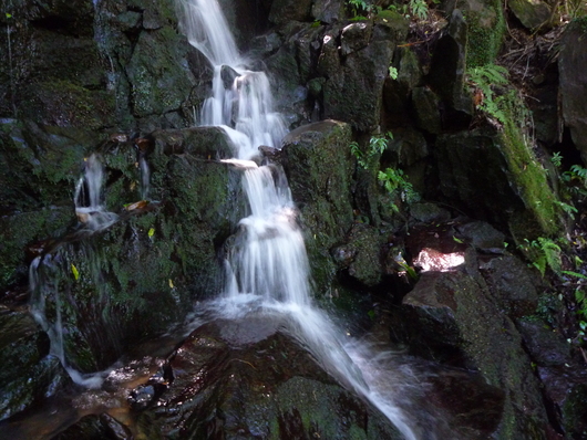 神代の湯　　その２_b0236729_11097.jpg