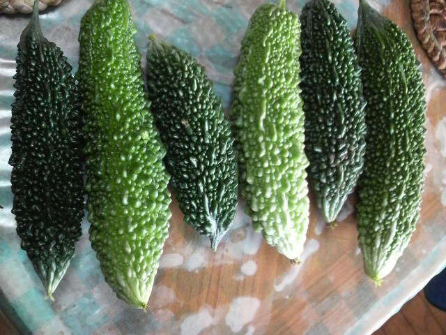夏も佳境です!_b0100432_10121737.jpg