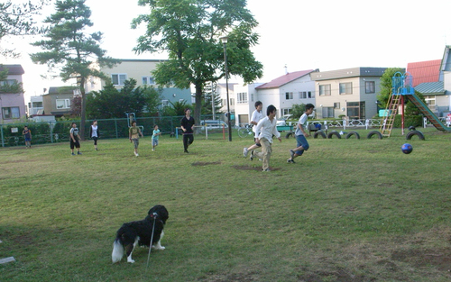動物病院で5種混合ワクチン_c0051132_213618.jpg