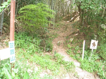 c0077338_782364.jpg