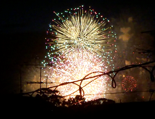 a0056140_1874451.gif