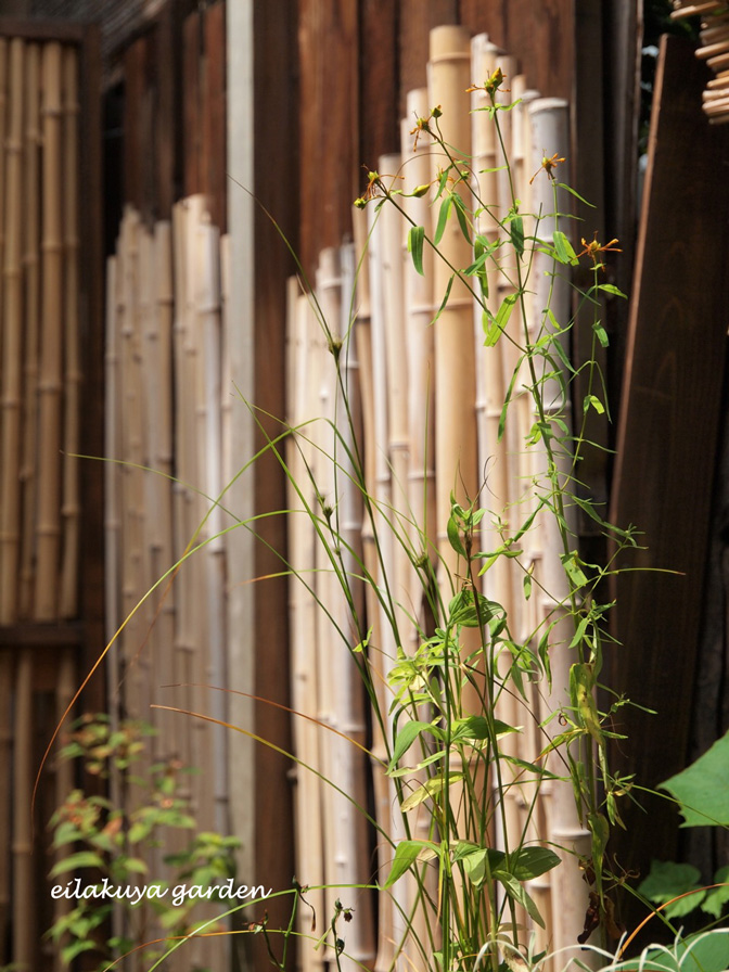 Arrange  for  \" しなの風呂 \"  private  outdoor  bath\'s  garden_b0133243_20213727.jpg