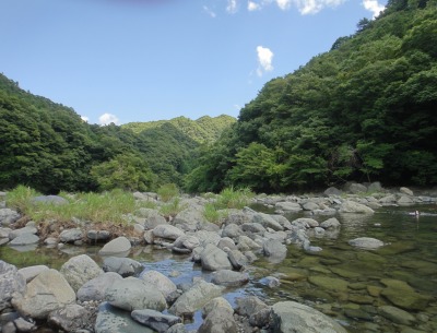 あくび君の泳ぎ開き_e0195743_15241446.jpg