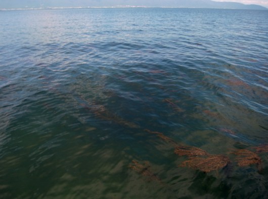 e0126548_20113972.jpg