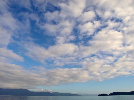 e0126548_20131326.jpg
