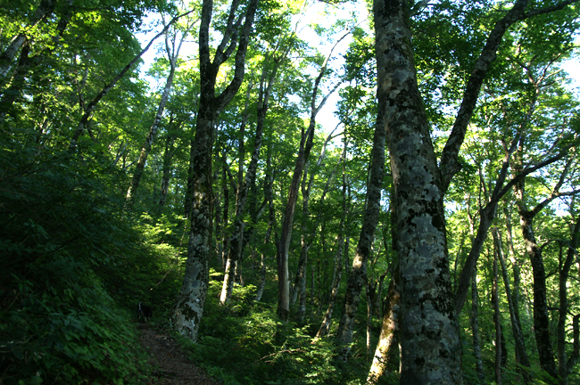 f0214649_17552611.jpg