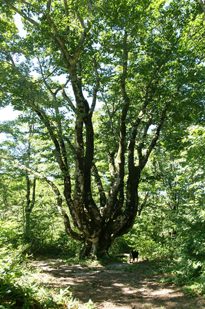 f0214649_20353677.jpg