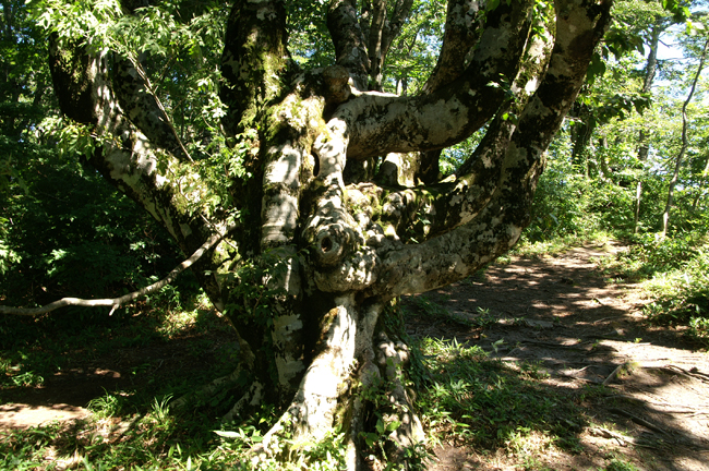 f0214649_2040351.jpg