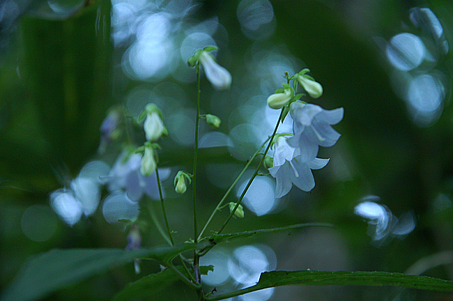 f0214649_459216.jpg
