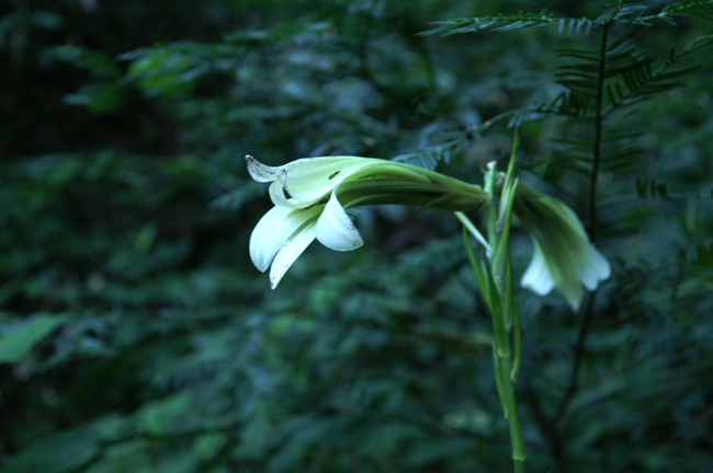 f0214649_511615.jpg