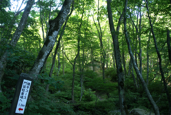 f0214649_553776.jpg