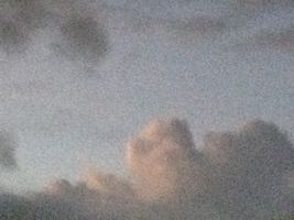e0106251_3183.jpg