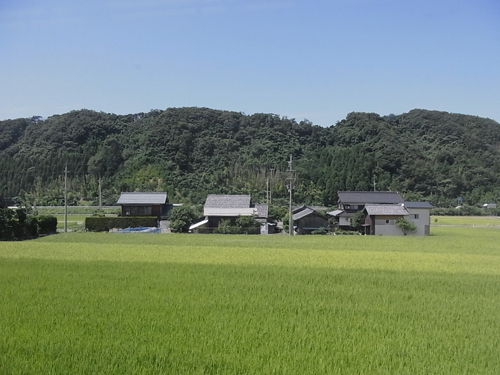 非日常的な風景の中で_a0004752_2229438.jpg