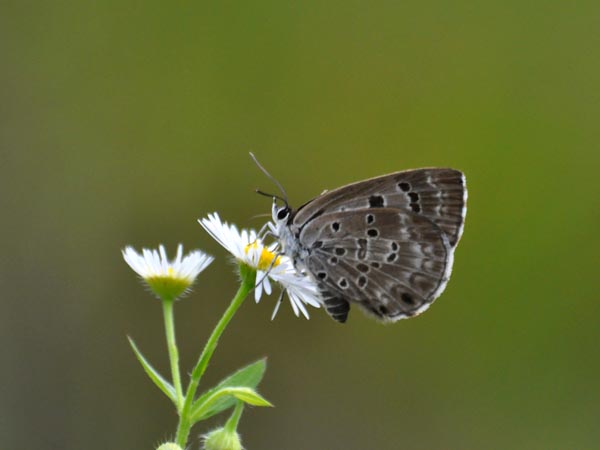 c0045352_1718367.jpg