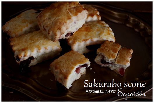 おいしい自家製酵母で焼き菓子_c0162653_13515026.jpg