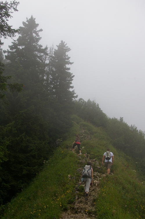 「なんちゃって」では済まなかったかもしれない登山_b0175255_1659593.jpg