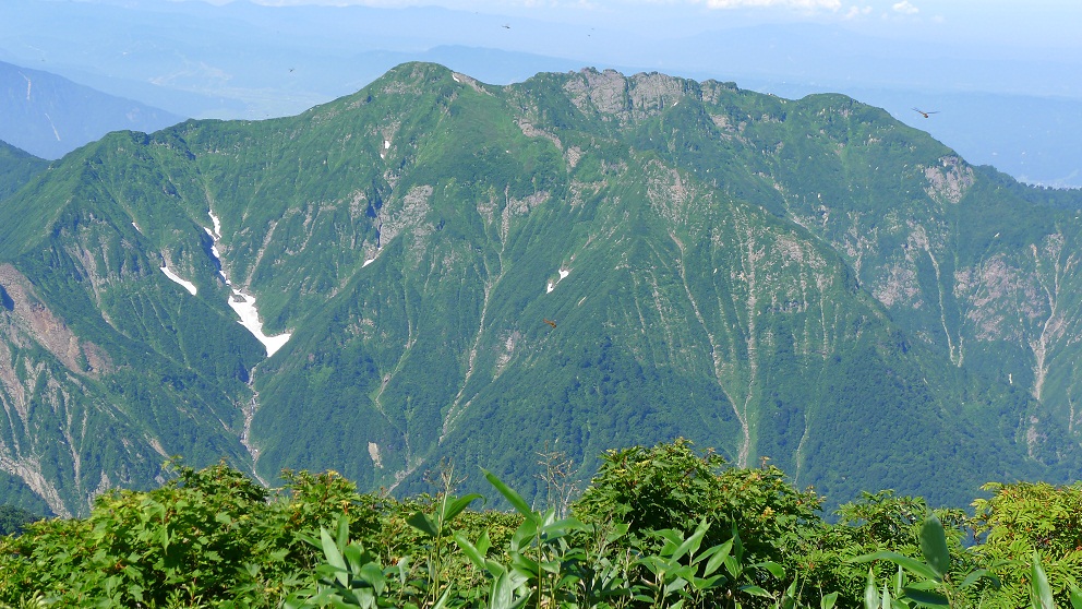 d0007657_94382.jpg