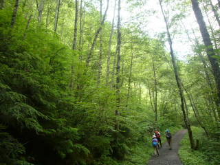 c0223259_2151521.jpg