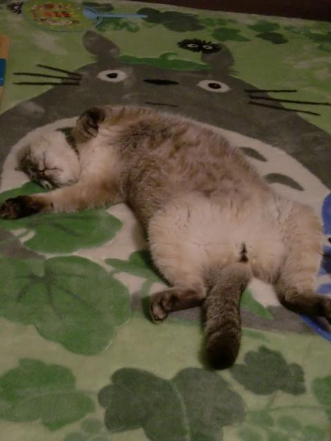 c0172261_0234787.jpg