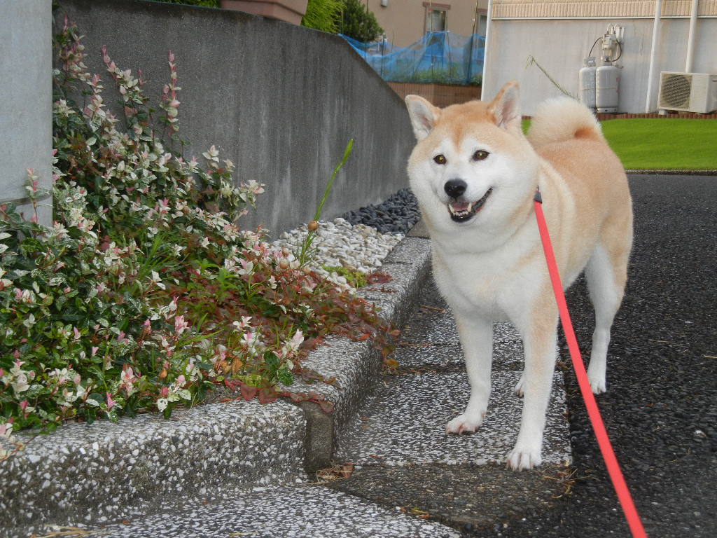 ’12、8,6(月)台風の影響で涼しい~!_f0060461_9172613.jpg