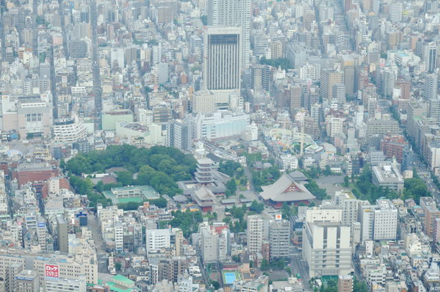 350m・450mの高さから東京を見てみよう_c0081462_2234392.jpg