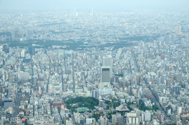 350m・450mの高さから東京を見てみよう_c0081462_22354895.jpg