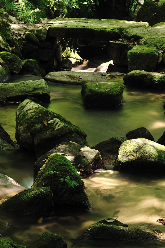 滝百選　金引の滝　（続き）_f0067667_2215766.jpg