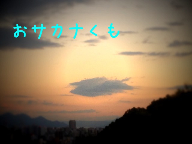 d0078271_17242395.jpg