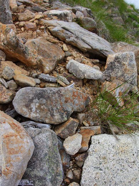 e0188677_07547.jpg