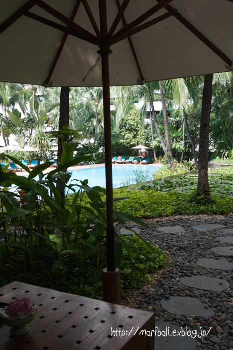b0154385_11335760.jpg