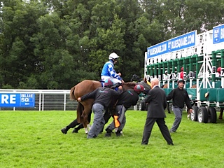グッドウッド競馬場 Good Wood Race Course 世界暮らし歩き 旧 芦谷有香 な日々 グッドウッド競馬場 Good Wood Race Course 世界暮らし歩き 旧 芦谷有香 な日々