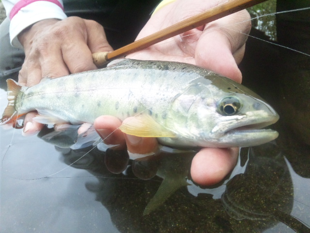 f0166390_21141861.jpg