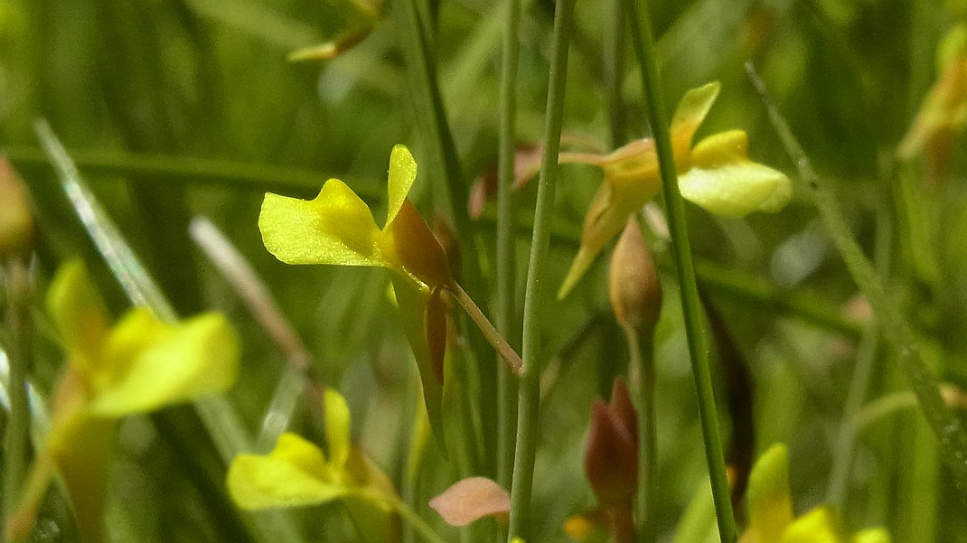 a0152692_183363.jpg