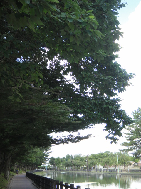 a0275492_3343651.jpg