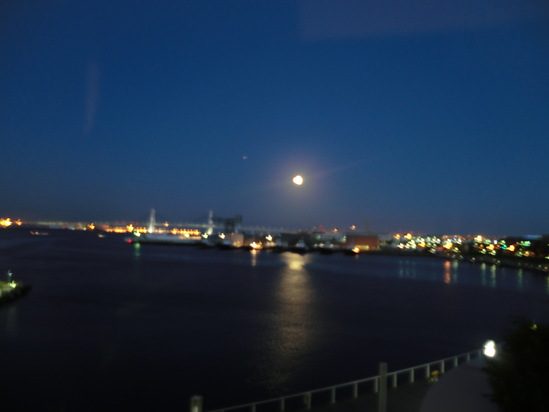 先週からの写真をアップします。_e0119092_1336261.jpg