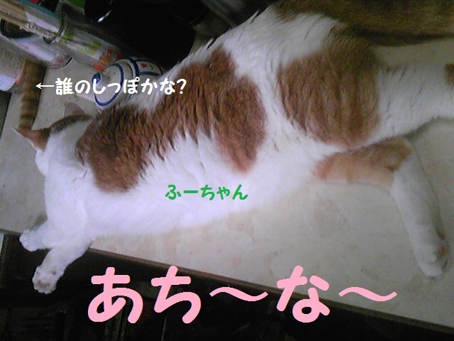 a0232197_17295037.jpg