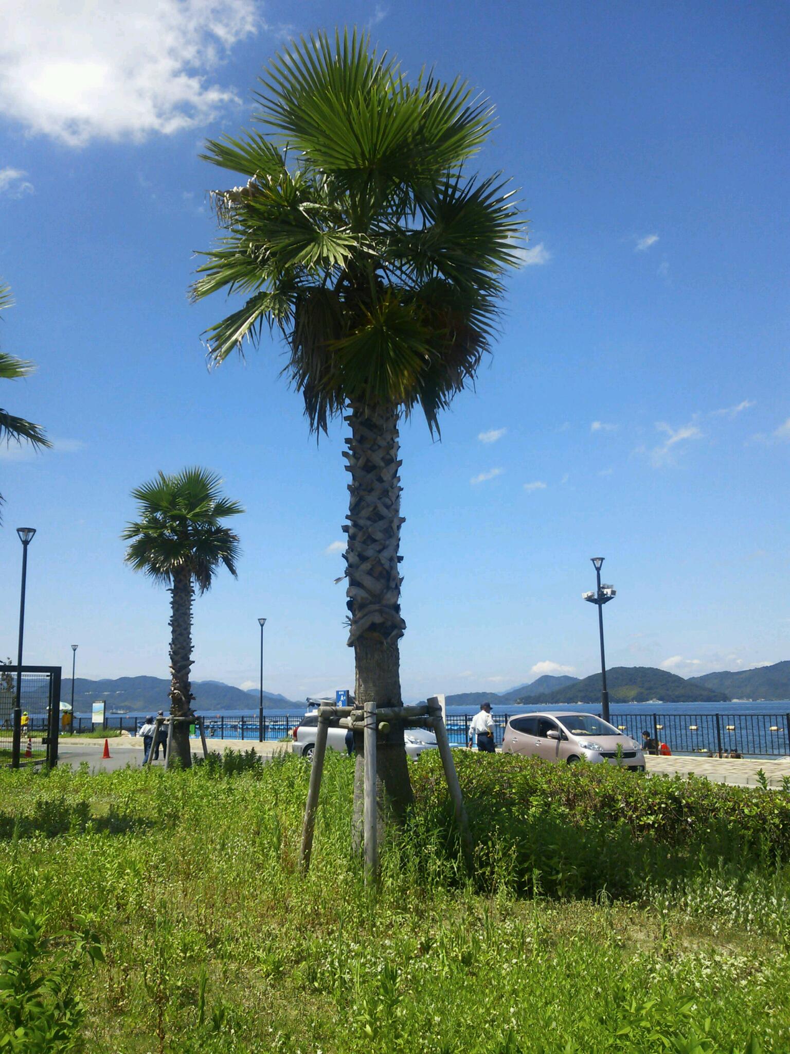 b0246398_12553537.jpg
