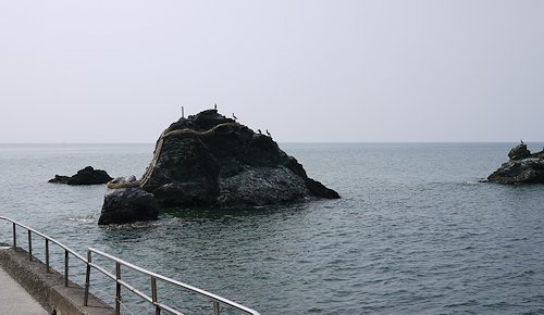 b0175301_21324114.jpg