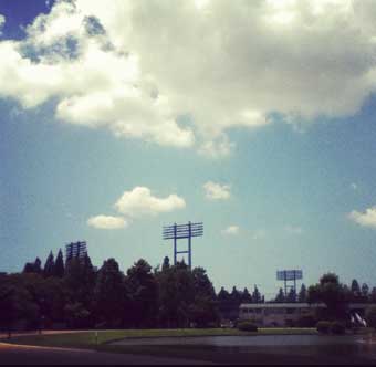 c0008801_1665856.jpg