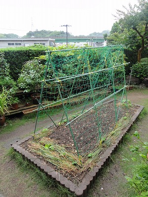 c0125501_162311.jpg
