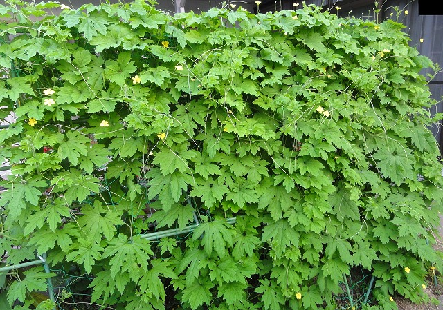 c0125501_16521163.jpg