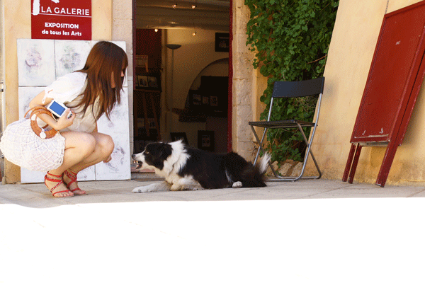 e0153701_22131629.gif