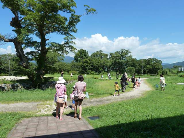 e0216602_7584357.jpg