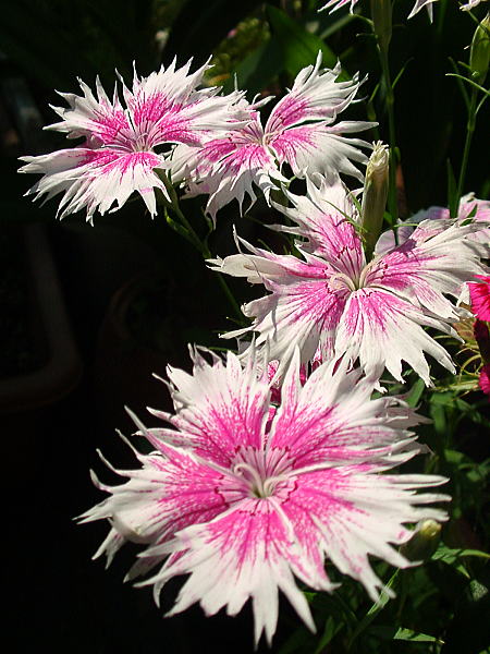 f0231904_10101097.jpg