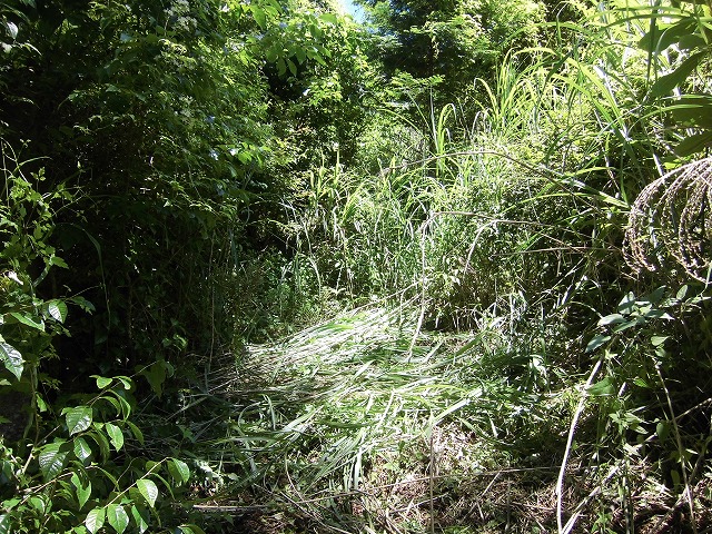 f0141310_6561260.jpg