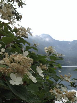 c0227612_1423526.jpg