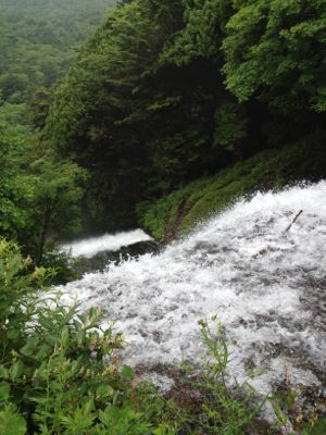 c0227612_1424779.jpg